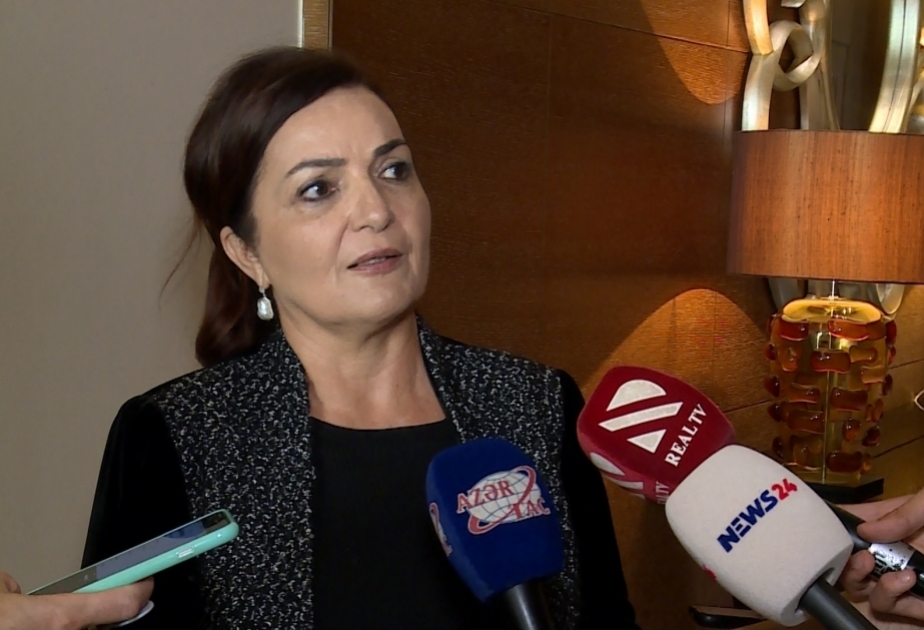 Professor Aygün Attar Türkiyə parlamentinin HDP-dən olan deputatının qərəzli açıqlamalarına sərt etirazını bildirib