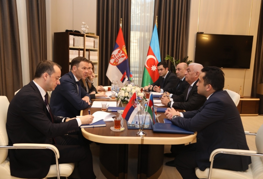 Serbiyada tikiləcək elektrik stansiyası layihəsində fəaliyyətlə bağlı İşçi Qrupu yaradılacaq
