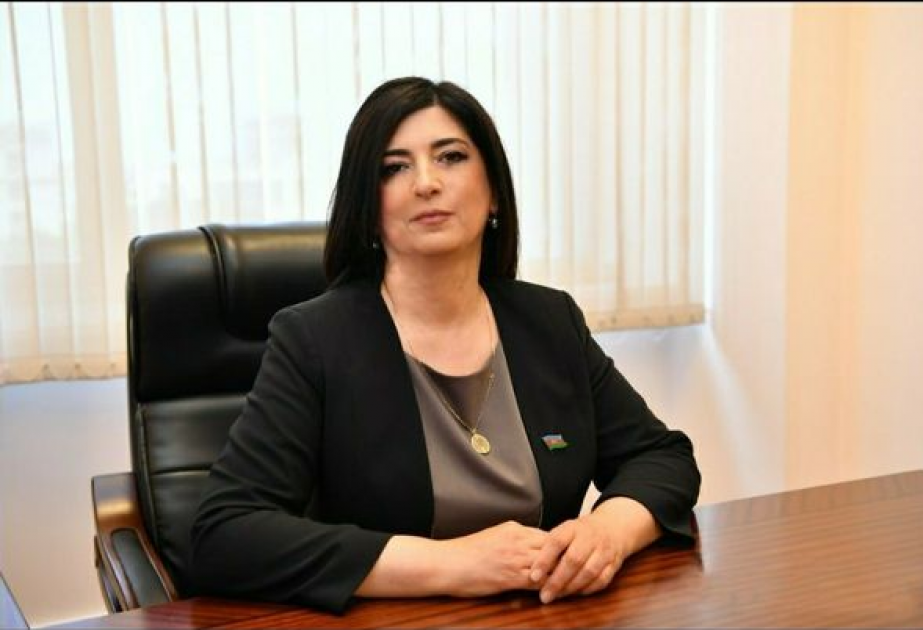 Deputat: Vardanyan Qarabağa təxribat törətmək məqsədilə göndərilib