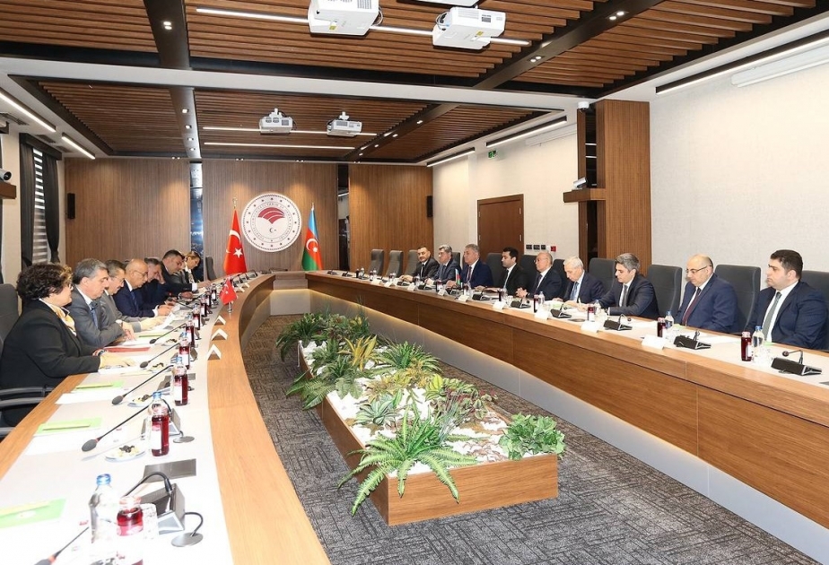 Türkiyə və Azərbaycan arasında meşə yanğınları ilə mübarizə istiqamətində əlaqələr genişlənir