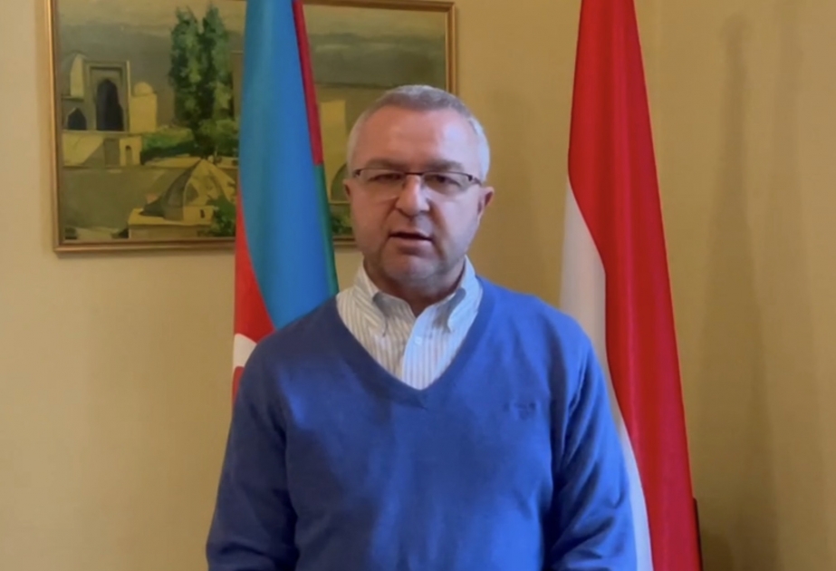 Венгерский эксперт: поставки "зеленой" энергии по дну Черного моря из Азербайджана в Венгрию станут подлинной революцией