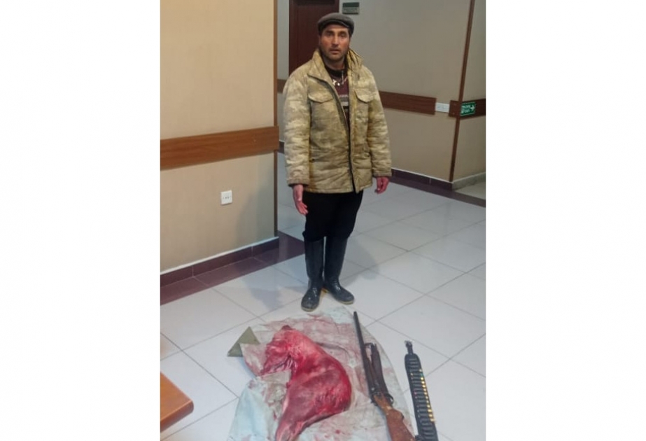 Daşkəsəndə qanunsuz ov edən şəxs saxlanılıb
