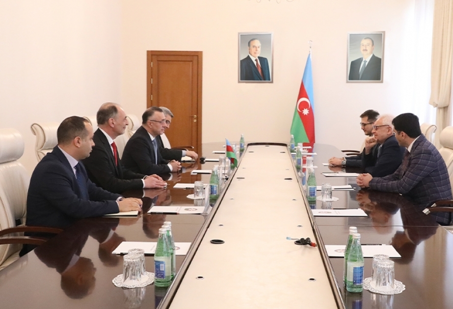 Səhiyyə Nazirliyi və Beynəlxalq Pediatriya Assosiasiyası arasında əməkdaşlığın genişləndirilməsi müzakirə edilib