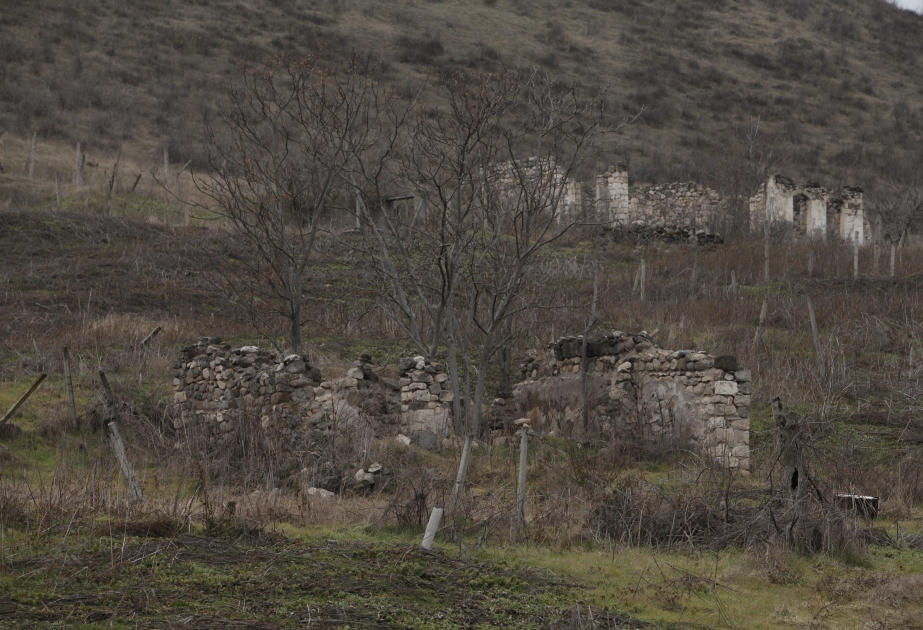 Mirzahasanli village, Zangilan district
