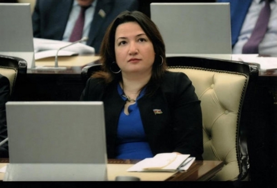 Azərbaycan regionda sülhə yönələn bütün beynəlxalq təşəbbüsləri dəstəkləyir