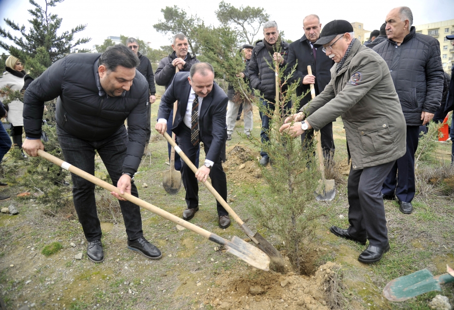 Ulu öndər Heydər Əliyevin 100 illiyinə həsr olunmuş ağacəkmə aksiyası