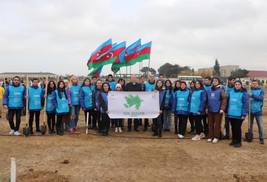 “Yaşıl Marafon” kampaniyası çərçivəsində kütləvi ağacəkmə aksiyaları keçirilib