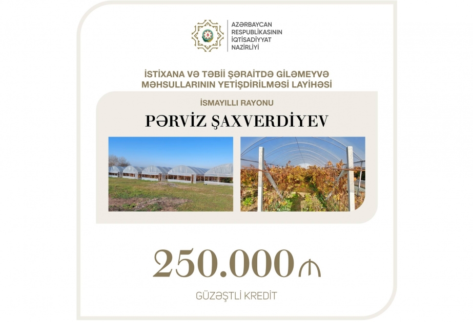 Se conceden más de 147 mil dólares en créditos blandos para el cultivo de bayas en el distrito azerbaiyano de Ismayilli