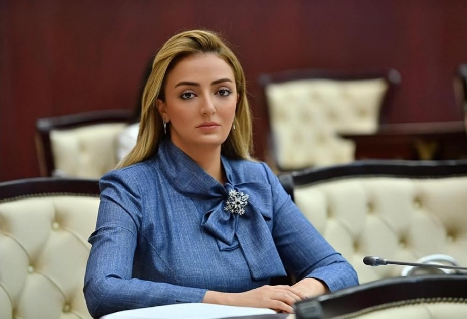 Dünya soydaşlarımızın Qərbi Azərbaycana qayıtma haqqının olduğunu qəbul etməlidir