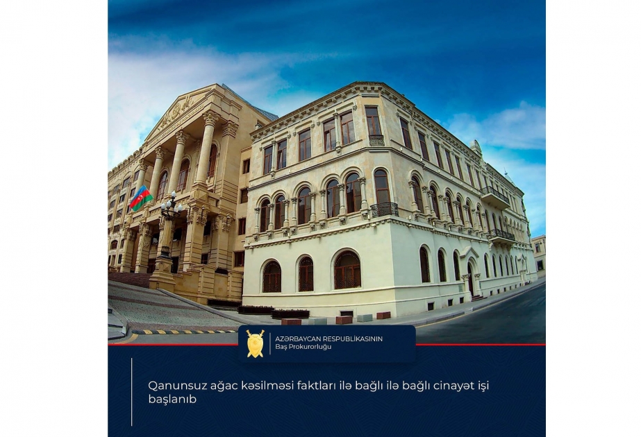Qanunsuz ağac kəsilməsi faktları ilə bağlı cinayət işləri başlanıb