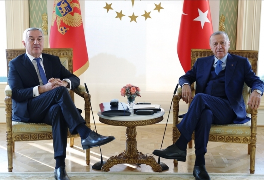 Monteneqro Prezidenti Türkiyəyə səfər edib