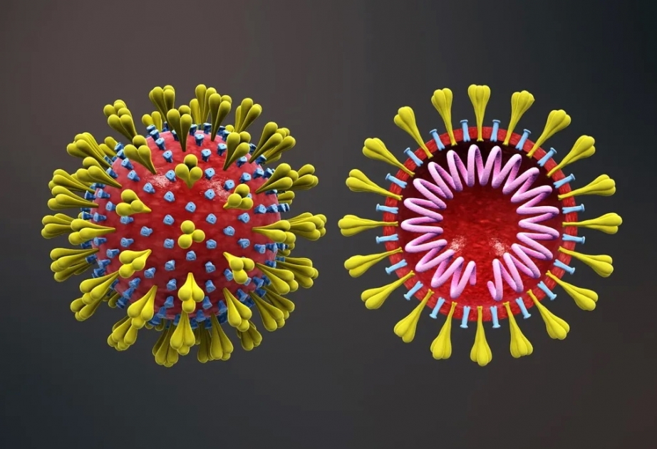 Coronavirus in Aserbaidschan: Zahlen im Überblick
