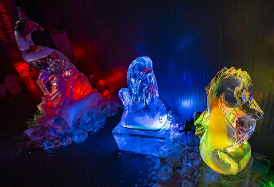 Türkiye’s 1st and only ice museum hosts 100,000 visitors since opening