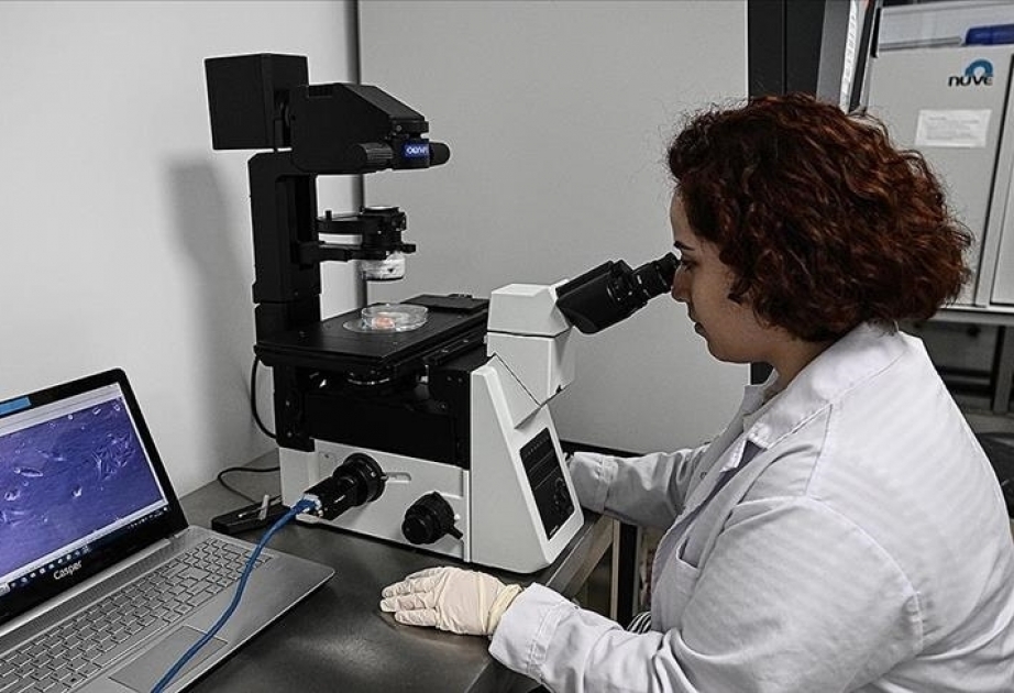 Turkish scientists developed imaging technique that will provide personalized cancer treatment