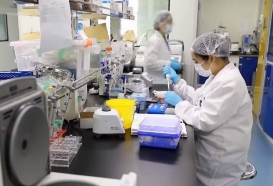 Expertos de la OMS recomiendan a China que refuerce las medidas para la secuenciación genómica del coronavirus