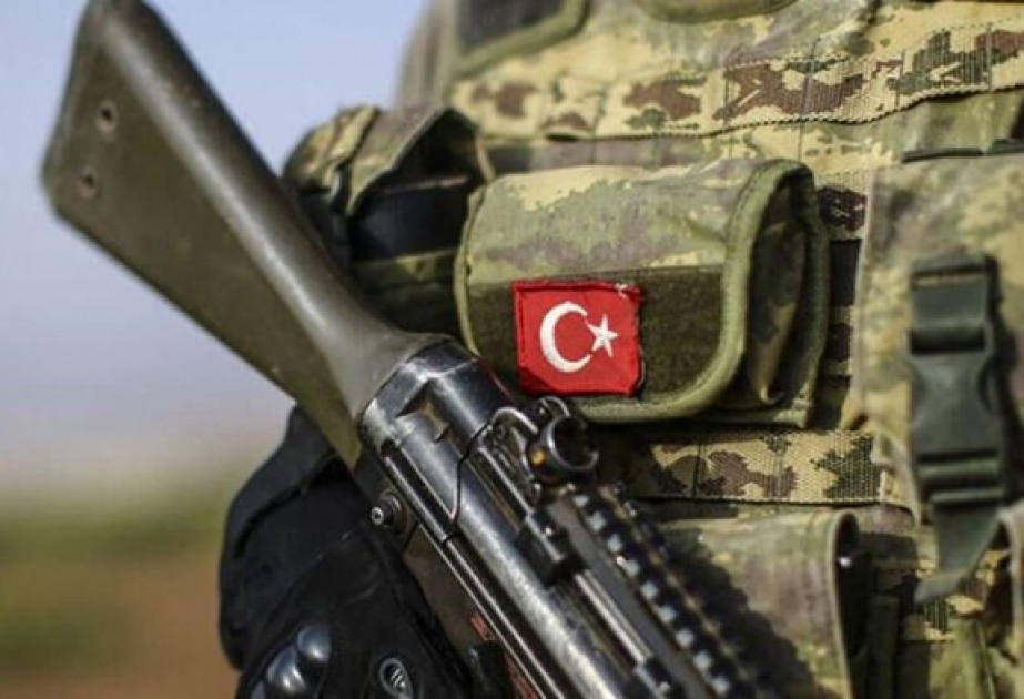 Suriya ərazisində daha 12 terrorçu zərərsizləşdirildi