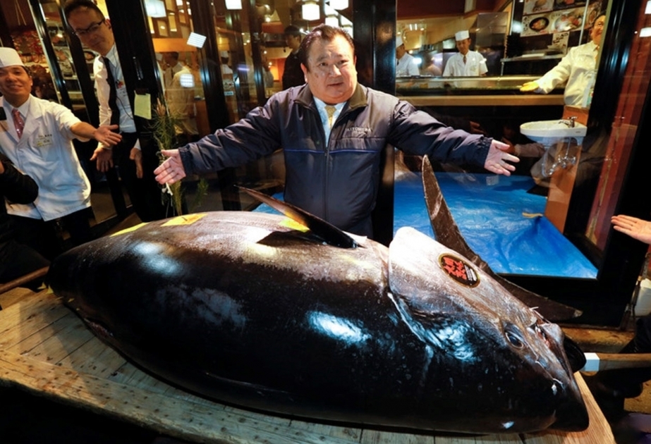 Tokyo's Toyosu market holds first auction in 2023