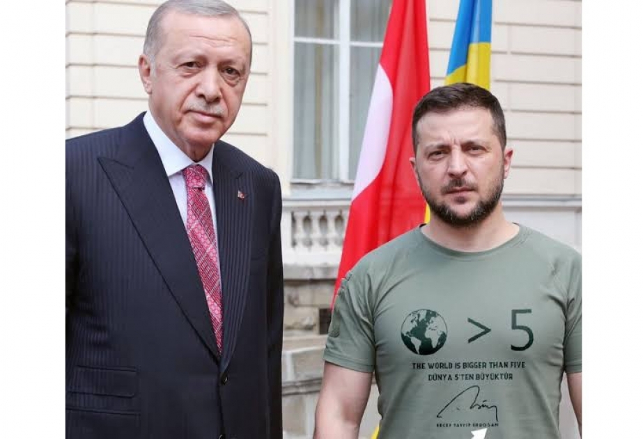 Ukrayna və Türkiyə prezidentləri Ankaranın sülh prosesində vasitəçiliyini müzakirə ediblər