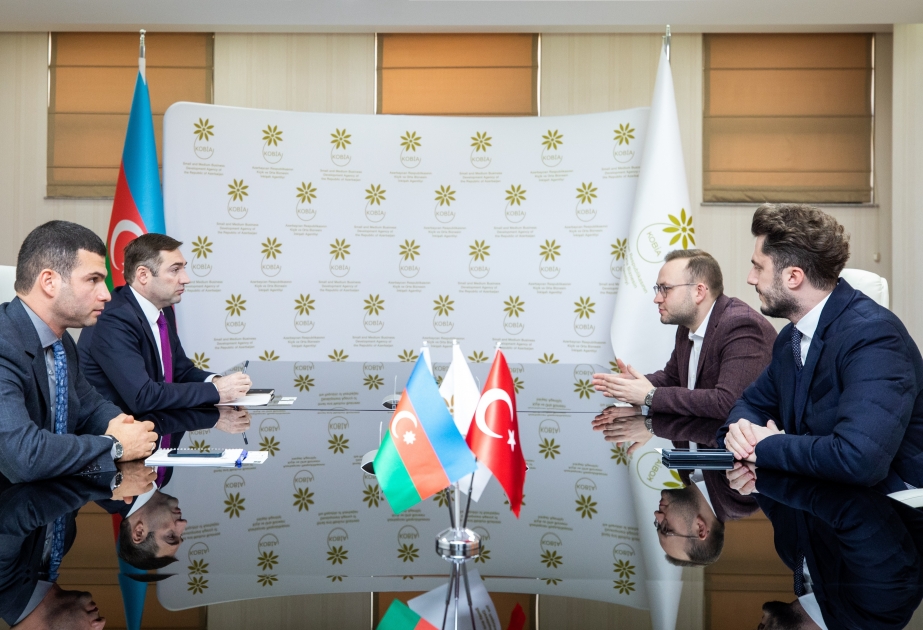 Se discuten las posibilidades de participación de una empresa turca en proyectos en Azerbaiyán