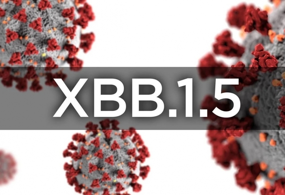 XBB.1.5 omicron subvariant is the most transmissible version of Covid yet, WHO says