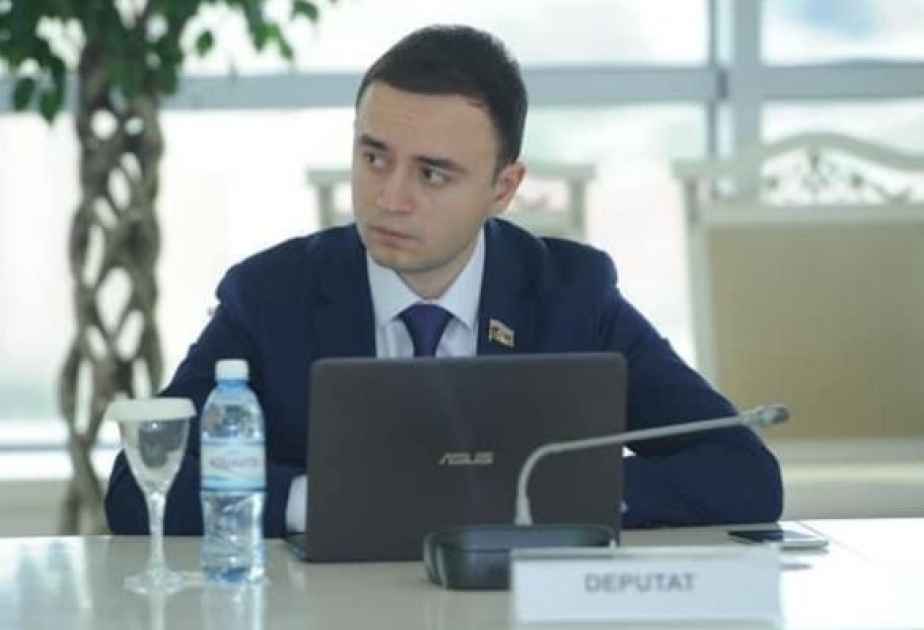 Fransanın Azərbaycana qarşı fəaliyyəti ermənipərəst dövlətin nüfuzunun zədələnməsi ilə nəticələndi