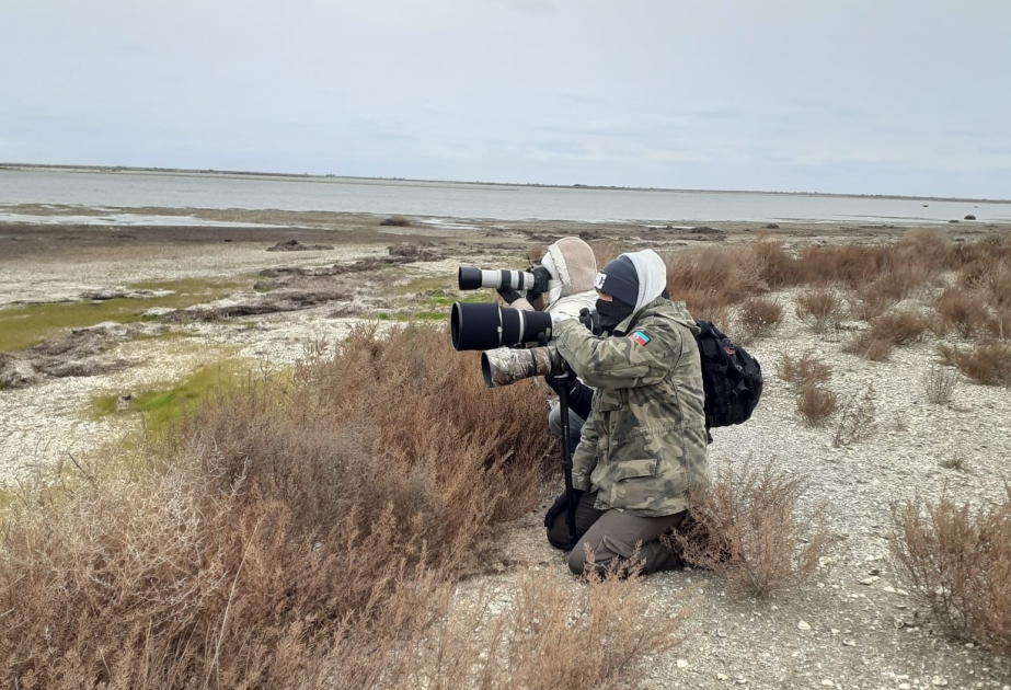 Abşeron Milli Parkına fototur təşkil olunub