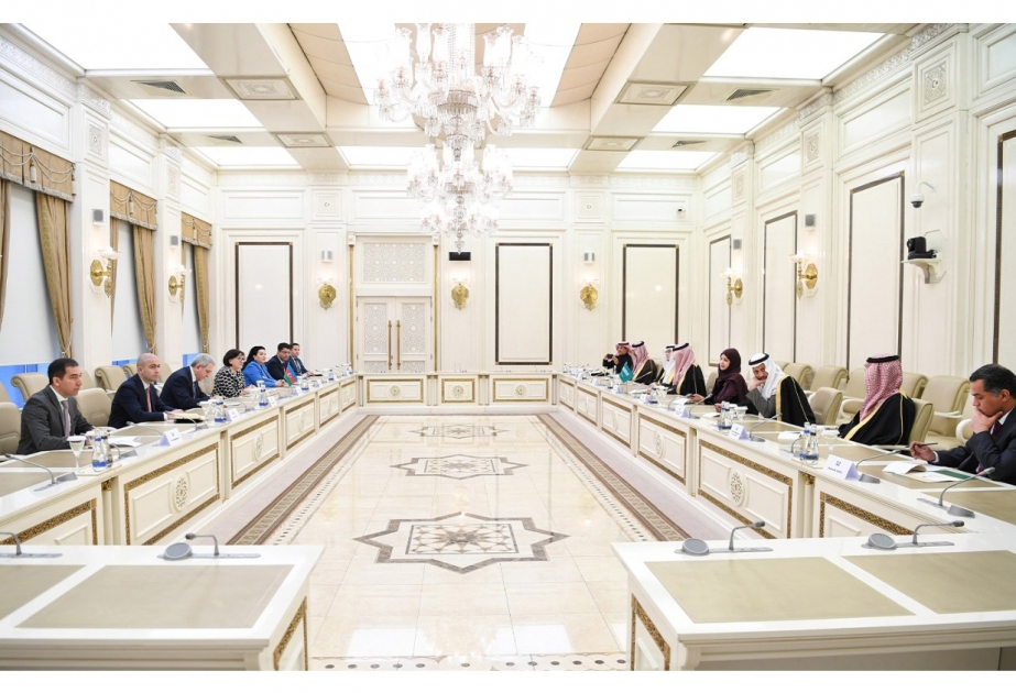 Milli Məclisin sədri Səudiyyə Ərəbistanı Şura Məclisinin nümayəndə heyəti ilə görüşüb