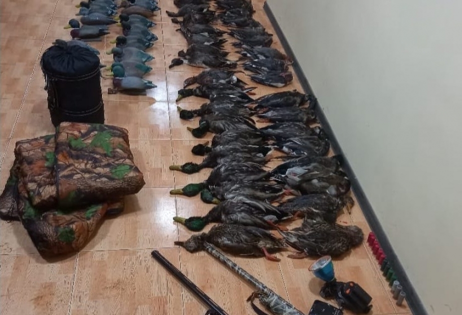 Lənkəranda qanunsuz ov edən şəxslər saxlanılıblar