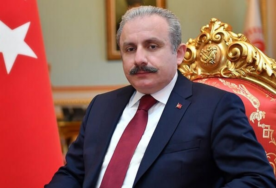 Mustafa Şentop isveçli həmkarının Ankaraya səfərini ləğv etdi