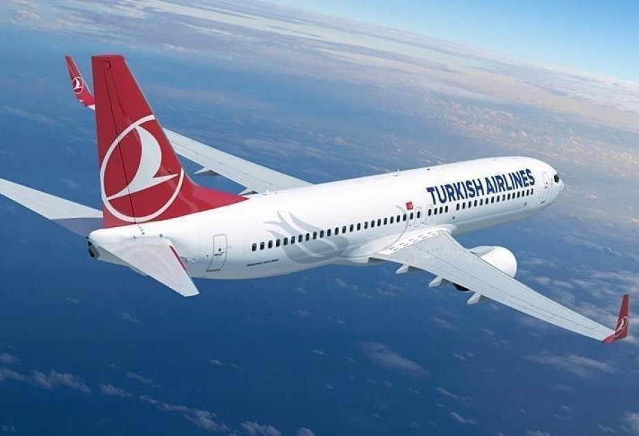 Türkiye's national flag carrier to teach US housewives Turkish in Istanbul