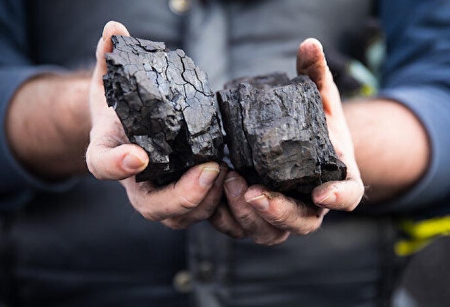 Enerji böhranı Avropada daş kömürdən istifadəni artırıb

