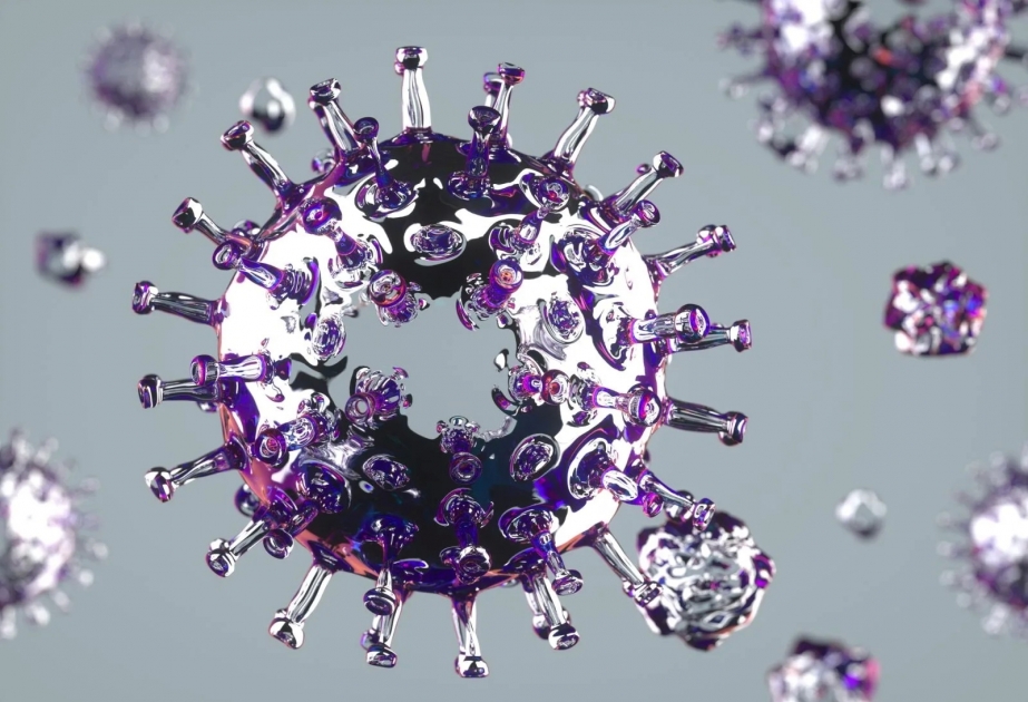 Coronavirus in Aserbaidschan: Am Sonntag 2210 weitere Bürger auf COVID-19 getestet