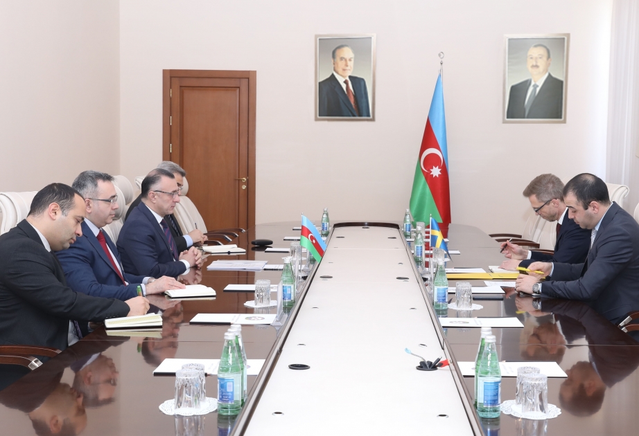 Обсуждены вопросы расширения сотрудничества в области здравоохранения между Азербайджаном и Швецией