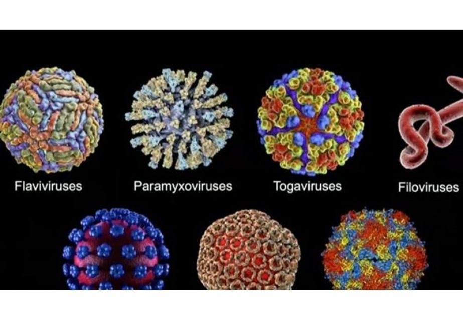 Coronavirus: Aserbaidschan 71 neue Fälle