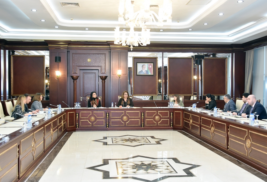 Milli Məclisin Ailə, qadın və uşaq məsələləri komitəsi yaz sessiyası üçün iş planını açıqlayıb