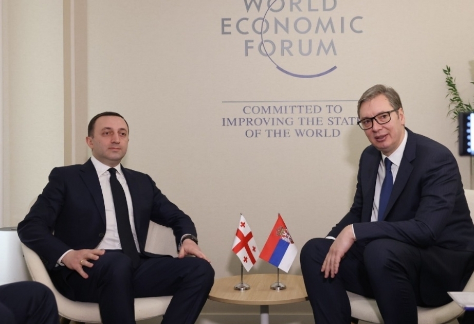 Georgian PM, Serbian President review cooperation, security matters
