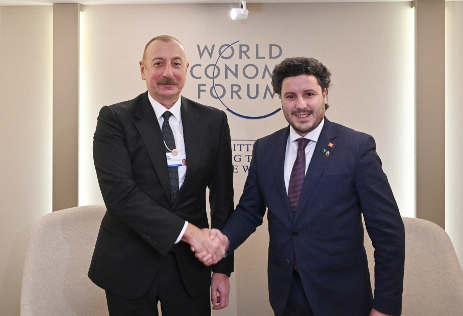Davos: Aserbaidschan und Montenegro tauschen Meinungen über Zusammenarbeit aus VIDEO