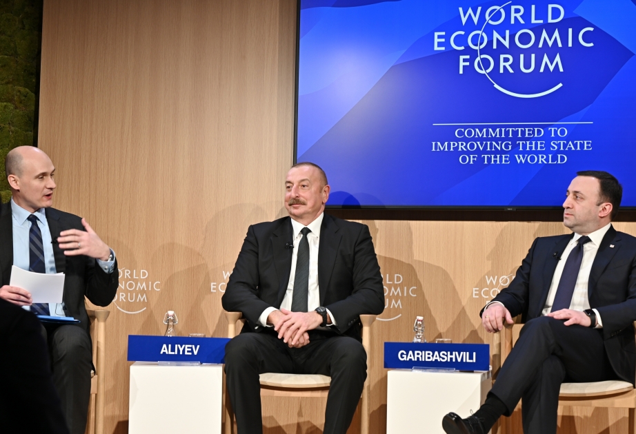 Presidente de Azerbaiyán: "Estamos trabajando muy duro en la diversificación de nuestra economía"