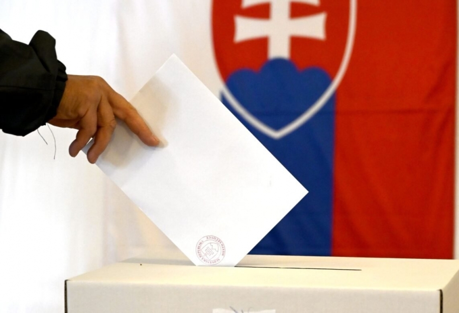 Slovakiyada konstitusiyaya dəyişikliklərlə bağlı referendum keçirilir VİDEO