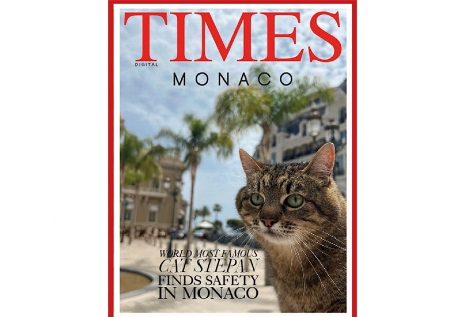 Кот Степан стал лицом обложки журнала Times Monaco