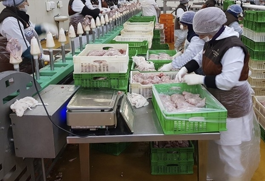 Nahrungsmittelproduktion in Aserbaidschan um 7,7 Prozent gestiegen