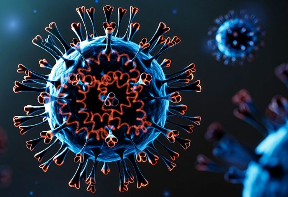 Coronavirus: Aserbaidschan 29 neue Fälle