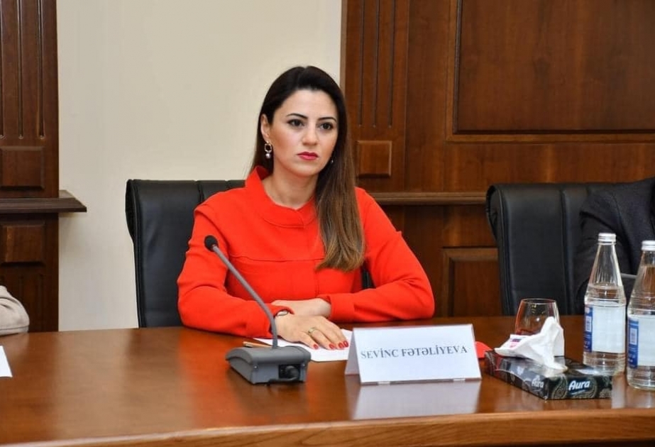 Avropa parlamentariləri siyasi maraqlarını güdərək beynəlxalq hüququ pozurlar