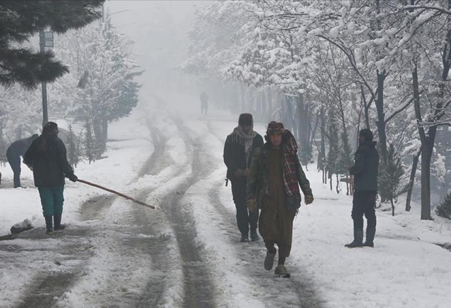 Морозная погода унесла 104 жизни в Афганистане за две недели