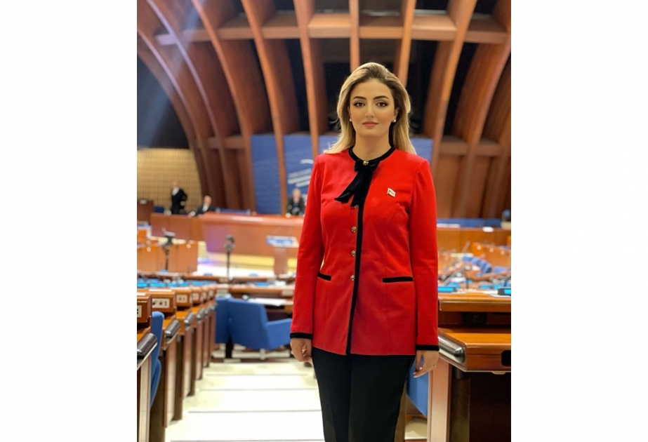 Azərbaycanlı deputat AŞPA-nın Gender bərabərliyi üzrə Alt Komitəsinin sədr müavini seçilib
