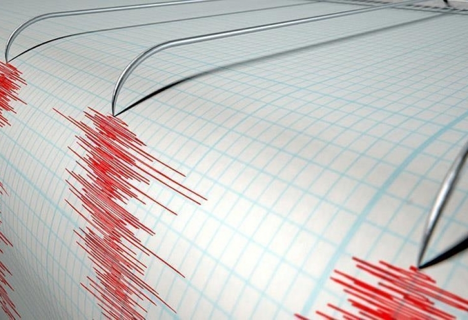 Southwest China province jolted by earthquake, no casualties reported