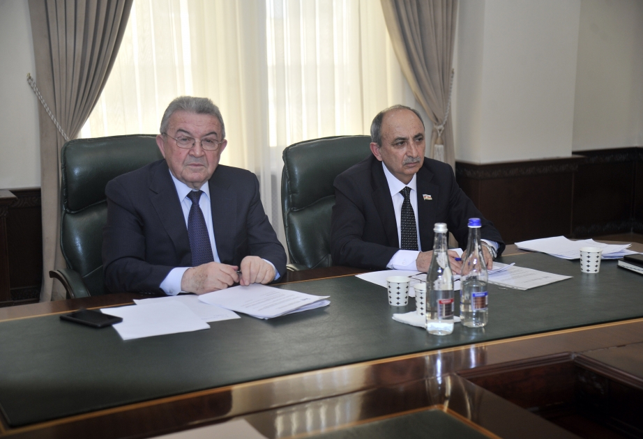 Misir Mərdanov: Qərbi Azərbaycan İcması bundan sonra işini daha da sürətləndirəcək