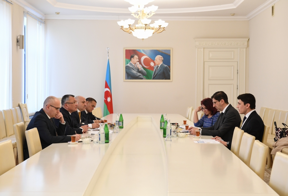 Beynəlxalq Miqrasiya Təşkilatı ilə birgə əməkdaşlıq məsələləri müzakirə olunub