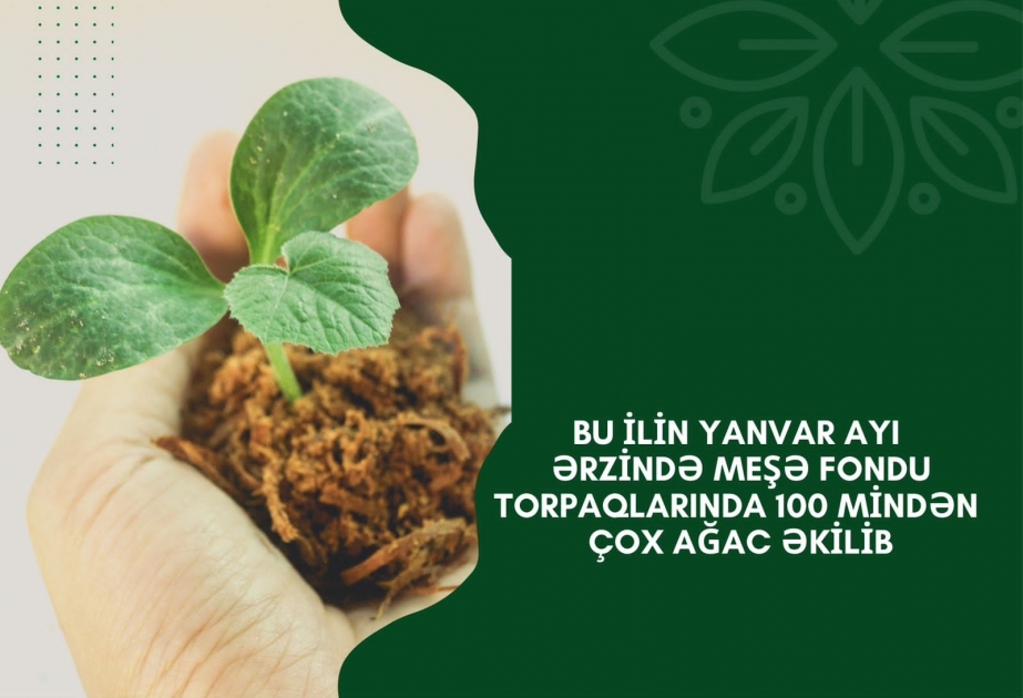 Bu ay meşə fondu torpaqlarında 100 mindən çox ağac əkilib