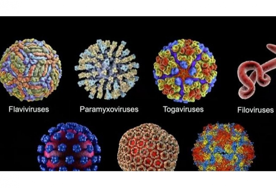 Coronavirus: Aserbaidschan 43 neue Fälle